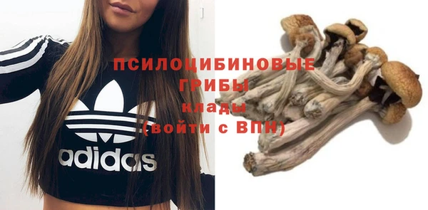 стафф Армянск