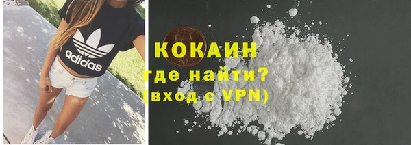 гидра Арсеньев