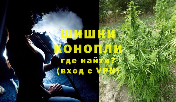 гидра Арсеньев