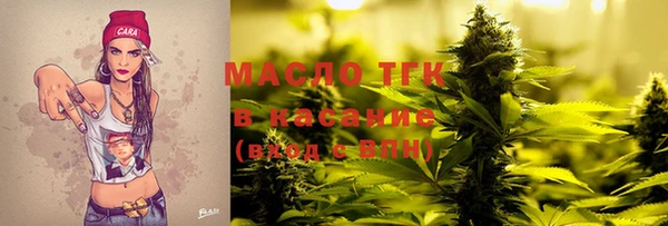 гидра Арсеньев