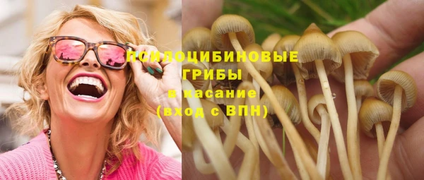 гидра Арсеньев