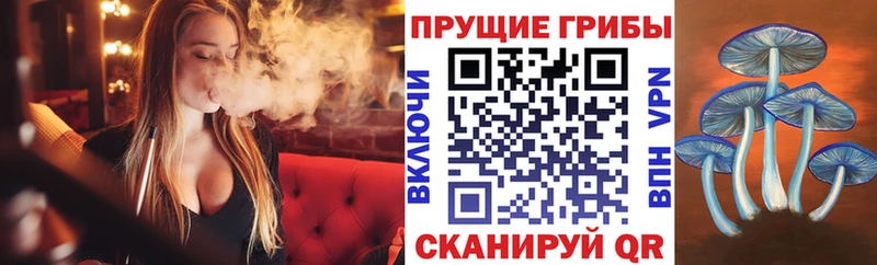 Псилоцибиновые грибы мухоморы  Долгопрудный 