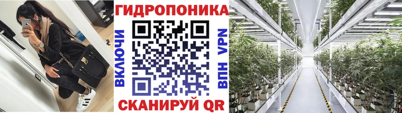 Шишки марихуана OG Kush Долгопрудный